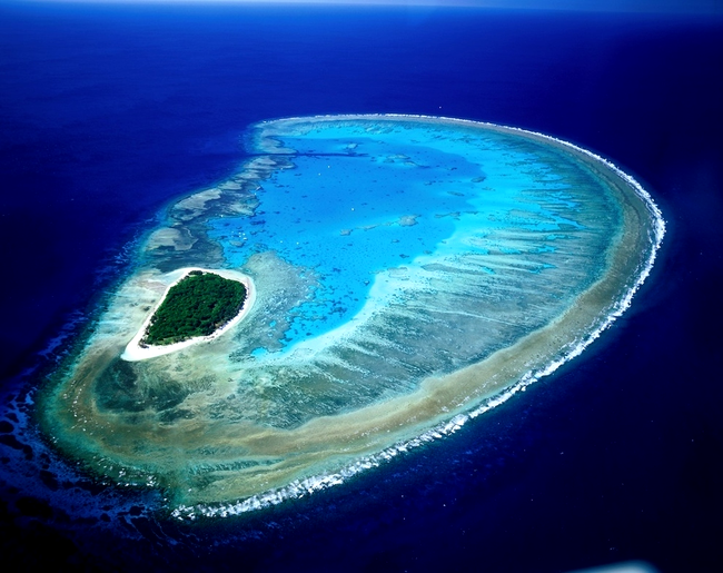 Insula Lady Musgrave, Marea Barieră de Corali, Australia