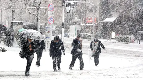 Cum va fi vremea până pe 9 februarie 2014