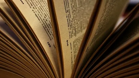 Editorii Dicționarelor Oxford au ales cuvântul anului 2013