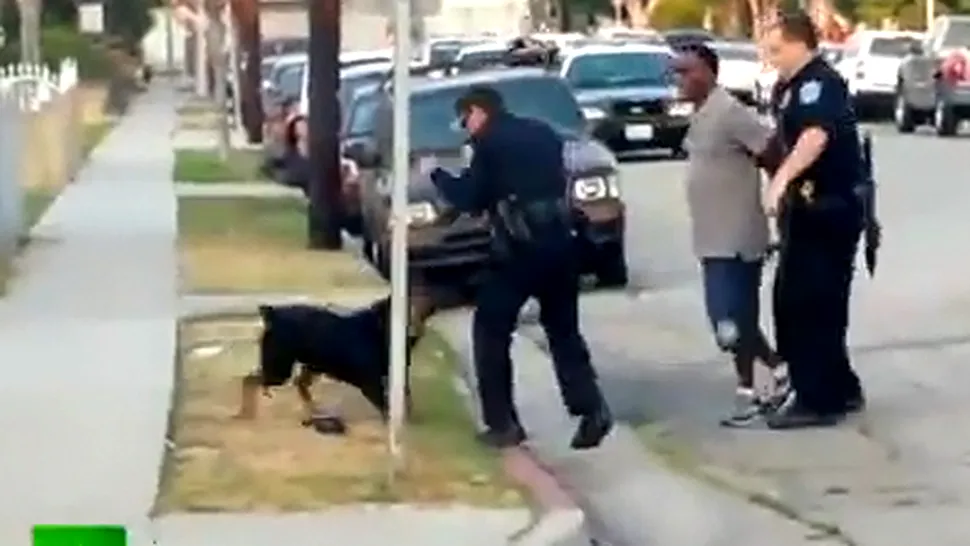 Polițiști amenințați cu moartea după ce au ucis un câine (Video)