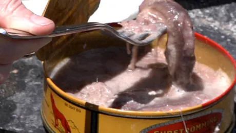 12 cele mai urât mirositoare mâncăruri din lume