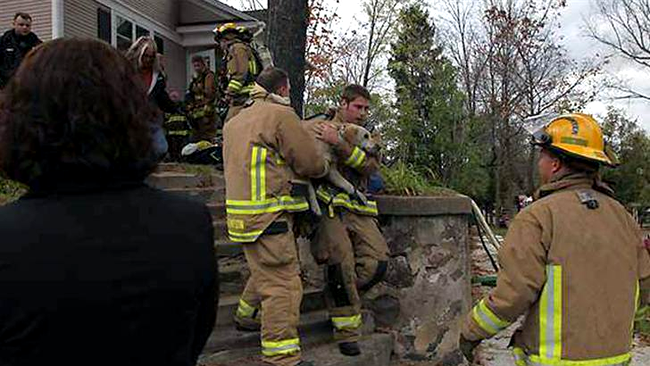 Pompierii, scotandu-l pe Koda din cladire