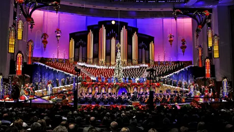 Programe speciale de Crăciun la TVR 2