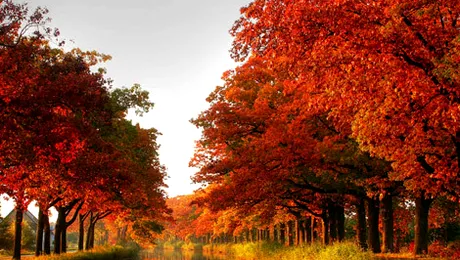 Cum va fi vremea până pe 17 noiembrie