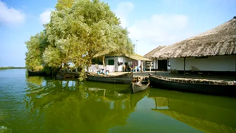 Delta Dunarii ar putea salva Romania de criza