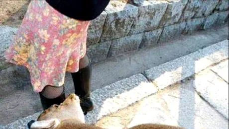 Filmat in timp ce facea poze sub fusta femeilor, intr-un magazin (Video)