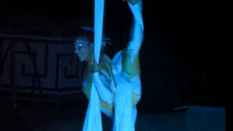 O acrobată de la Cirque du Soleil a murit după ce a căzut în timpul unui spectacol