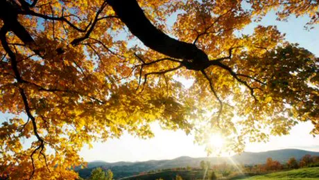 Vremea Apropo.ro: Vreme frumoasa in week-end