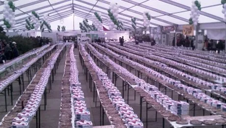 Suntem campioni la ciorba si pizza!