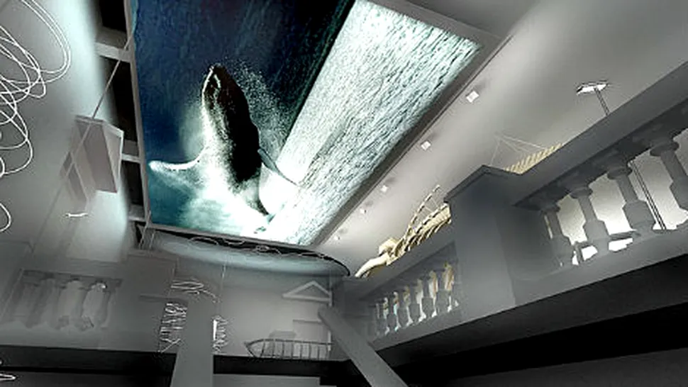 Vezi cum arata noul muzeu Antipa (Poze)