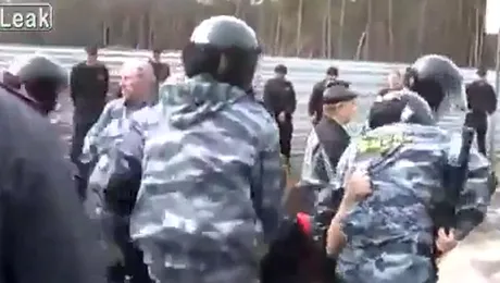 Bătaie ca în filme, într-o pădure din Rusia (Video)