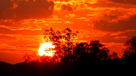 De unde știu savanții din ce e făcut soarele?