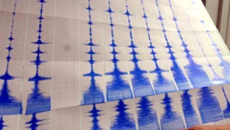 Cutremur de 4,9 grade in Romania