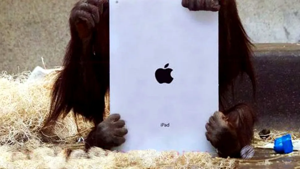Ai în plus un iPad? Donează-l unui urangutan!