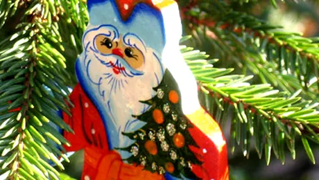 16 lucruri pe care nu le știai despre bradul de Crăciun