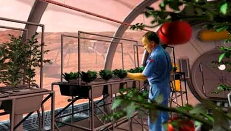 Chinezii vor să ducă varză pe Marte și pe Lună