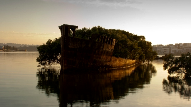 Rămășițele Ayrfield SS în Homebush Bay, Australia