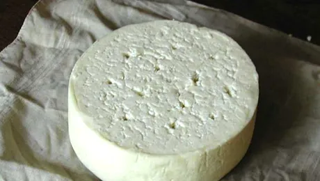 De ce are brânza găuri?