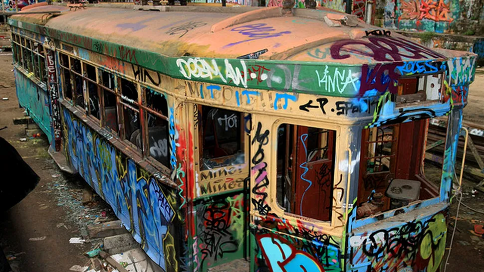 Frumusețea trenurilor abandonate (Poze)