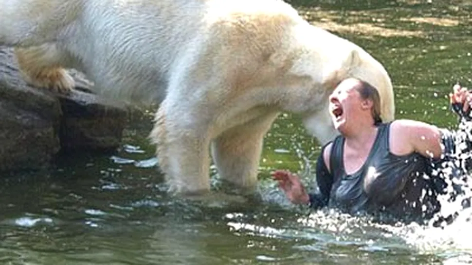 O femeie a sarit in cusca ursilor polari, la Zoo din Berlin (Video)