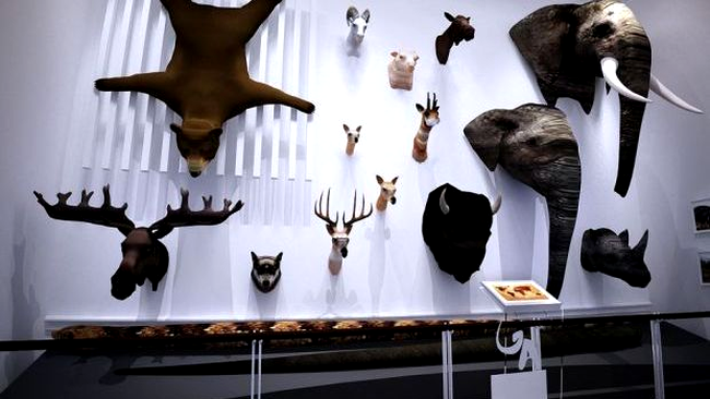 Sala de trofee la Muzeul Antipa 