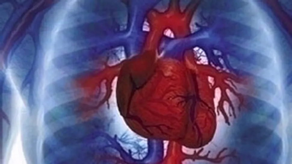 Cercetatorii au creat o inima in laborator