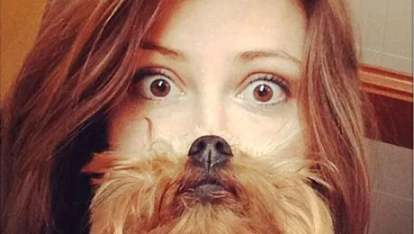 18 fotografii amuzante cu câini și stăpânii lor