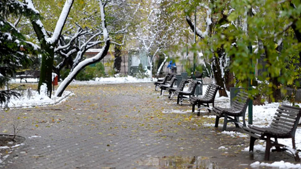 Vremea.Apropo.ro: Prognoza meteo pentru vineri, 29 noiembrie 2013