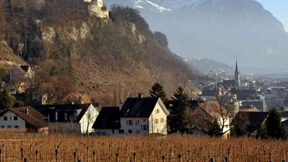Liechtenstein a decis închiderea singurei maternități din țară
