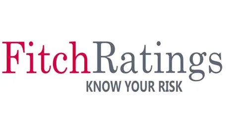 Fitch: Cresterea economiei este nesustenabila