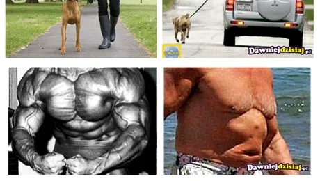 Pe vremea mea, nu era asa! (Poze)