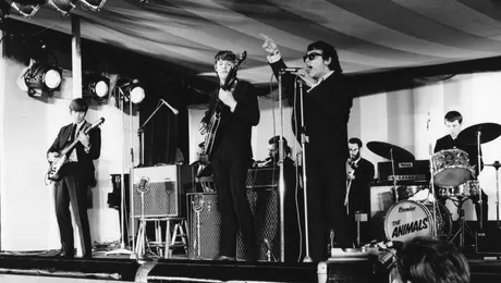 Chitaristul Hilton Valentine, membru fondator al trupei The Animals, a murit