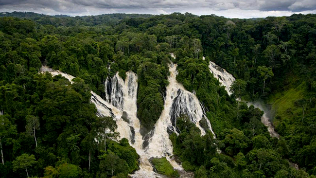 Parcul Național Ivindo, Gabon