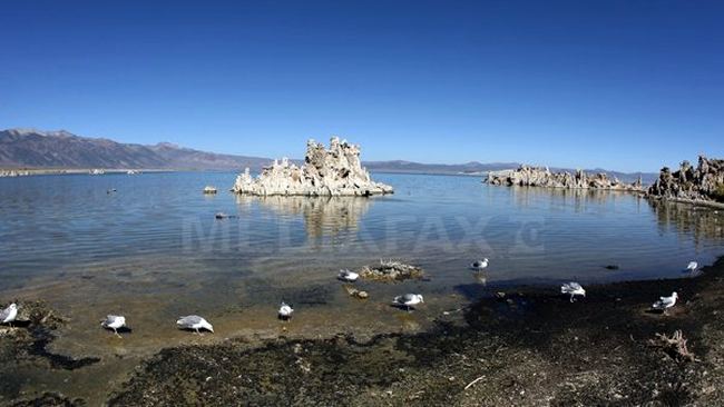 In acest lac (Mono) s-a descopeit bacteria care traieste in acid