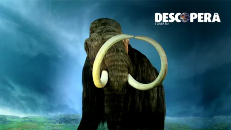 Descopera Preistoria – Infrunta-ti trecutul si castiga premii inedite!