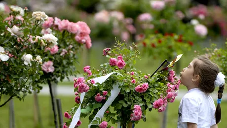 Cum va fi vremea până în luna iunie 2015