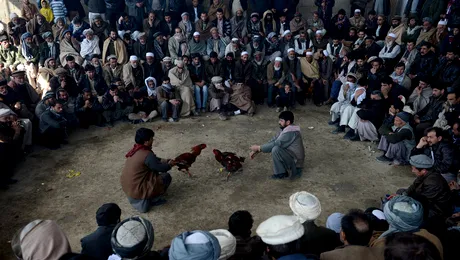 Fotografia zilei: Afganistan