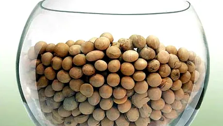 Care este actiunea alimentelor din soia asupra fertilitatii