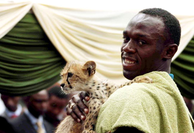 Usain Bolt si ghepardul