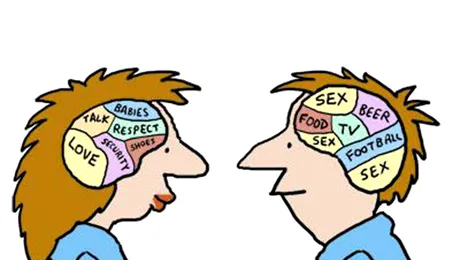 Bărbații au mai mulți neuroni, dar femeile gândesc mai eficient