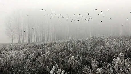 Vremea Apropo.ro: Saptamana a debutat cu ceata, urmeaza ploile