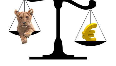 All-time-record: 1 euro=4,2127 lei