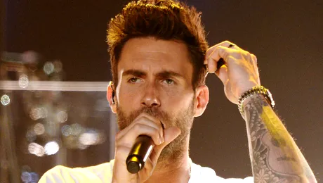 Adam Levine şi Dave Stewart  îşi unesc forţele şi produc un nou reality show muzical