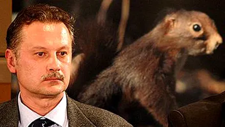 Domnul Bold a plecat in treaba lui