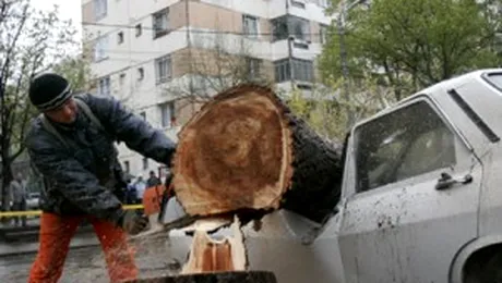 Ninsoarea isi face de cap in tara