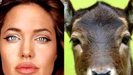 Cat de mult se aseamana oamenii si animalele! (Poze)
