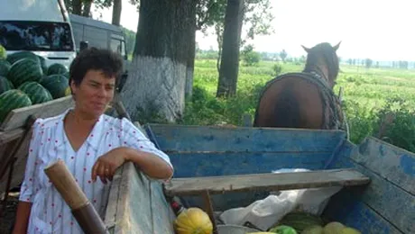 Pepenii de Dabuleni, mina de aur pentru speculanti