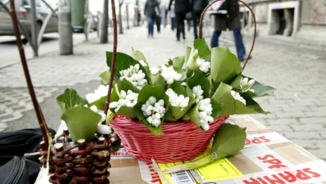 Vremea.Apropo.ro: Ce temperaturi vor fi în perioada 18 februarie – 4 martie