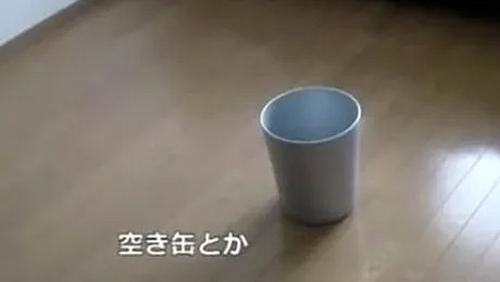 Coșul robotizat care prinde gunoiul din zbor (Video)