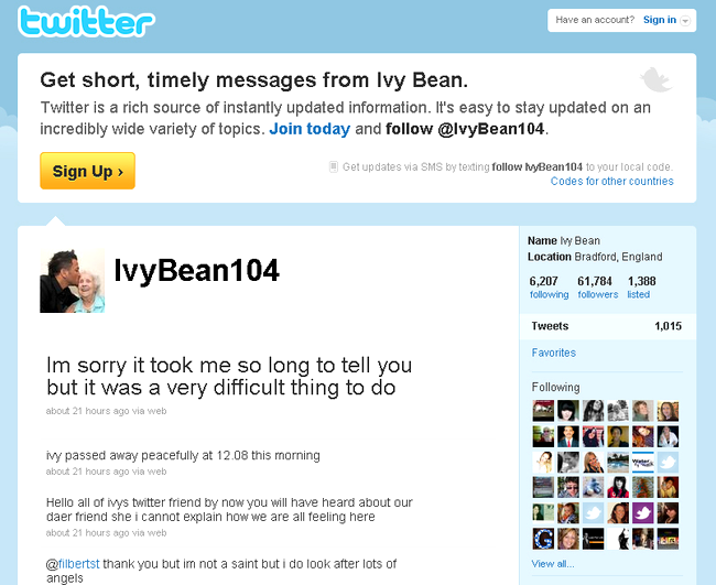 ivy bean twitter